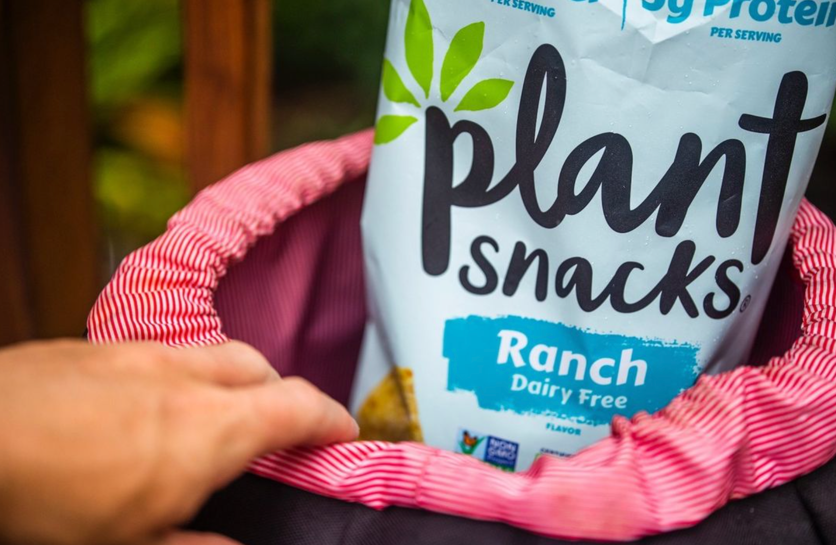 Why You Need To Try These Vegan-Approved Protein Chips