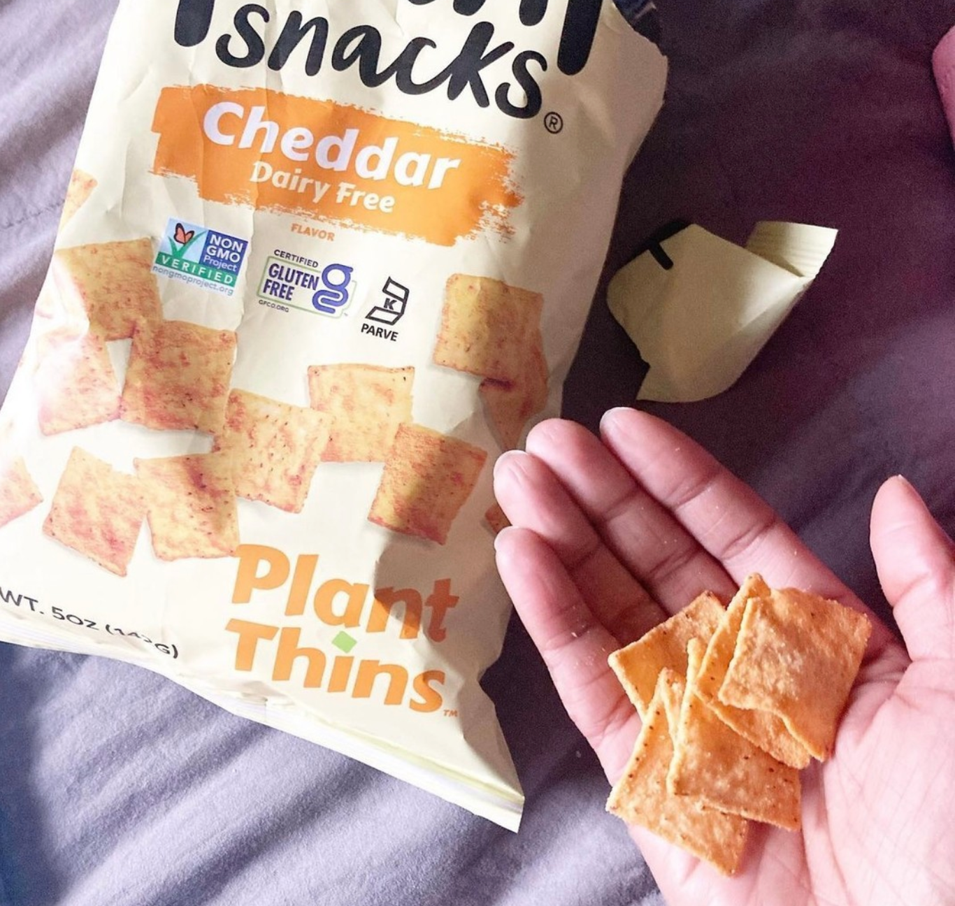 Vegan Snack Ideas for a Road Trip or Traveling